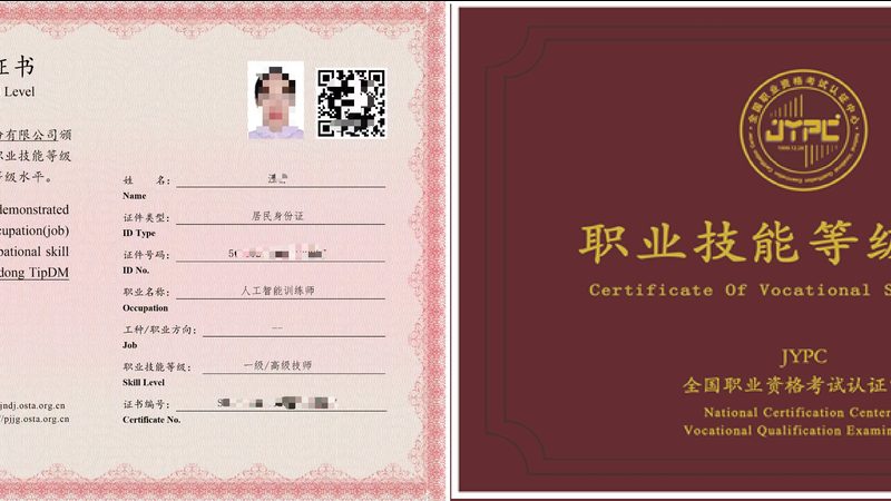 上海智能语音公司如何选？揭秘关键指标与考量因素**